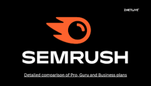 Semrush Pro Version