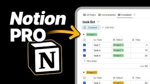 Notion Pro